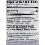 Nature's Answer - Ginkgo Leaf Alcohol Free - 1 fl oz