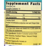 Herbs For Kids Echinacea/Golden Root Orange - 1 oz