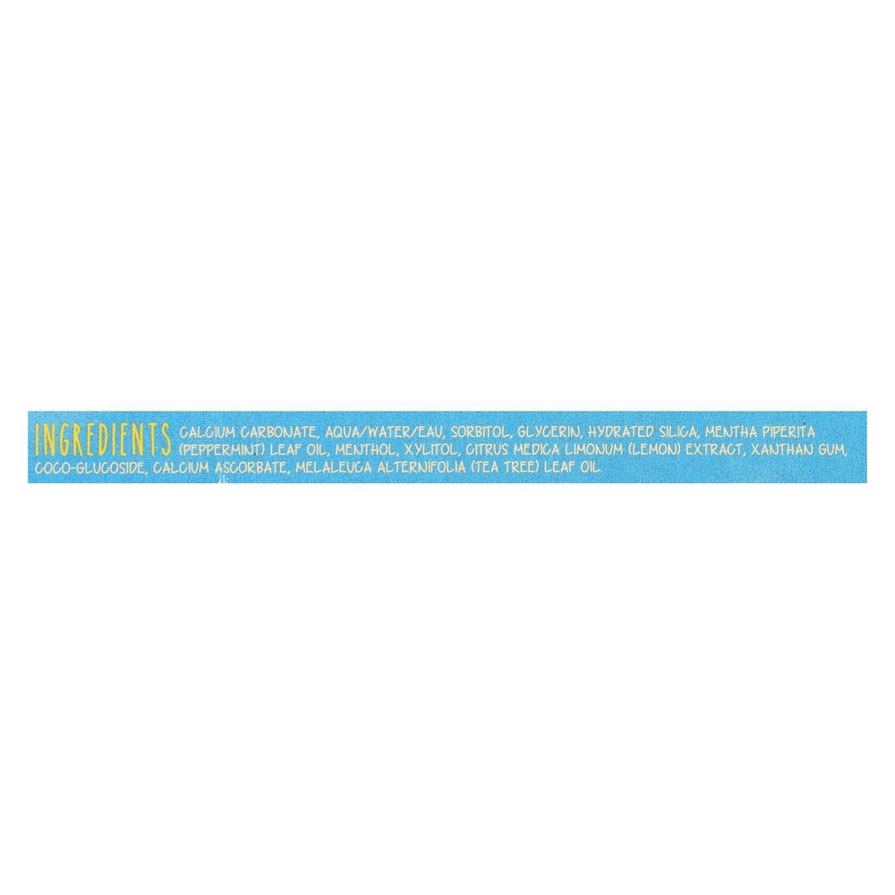 Green BeaverThe Toothpaste - Frosty Mint Toothpaste - Case of 1 - 2.5 fl oz.